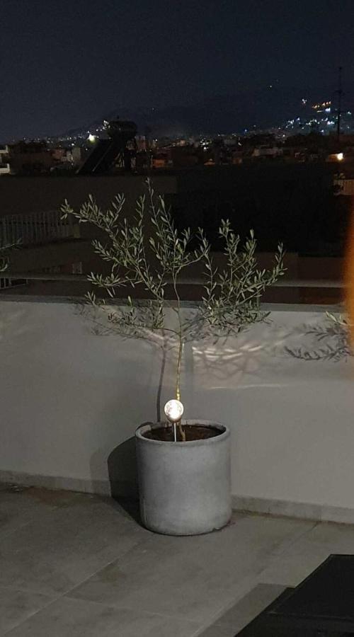 My Home In Greece Ateny Zewnętrze zdjęcie